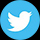 Twitter Logo